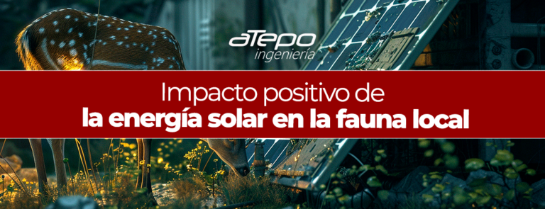 Impacto_positivo_de_la_energía_solar_en_la_fauna_local